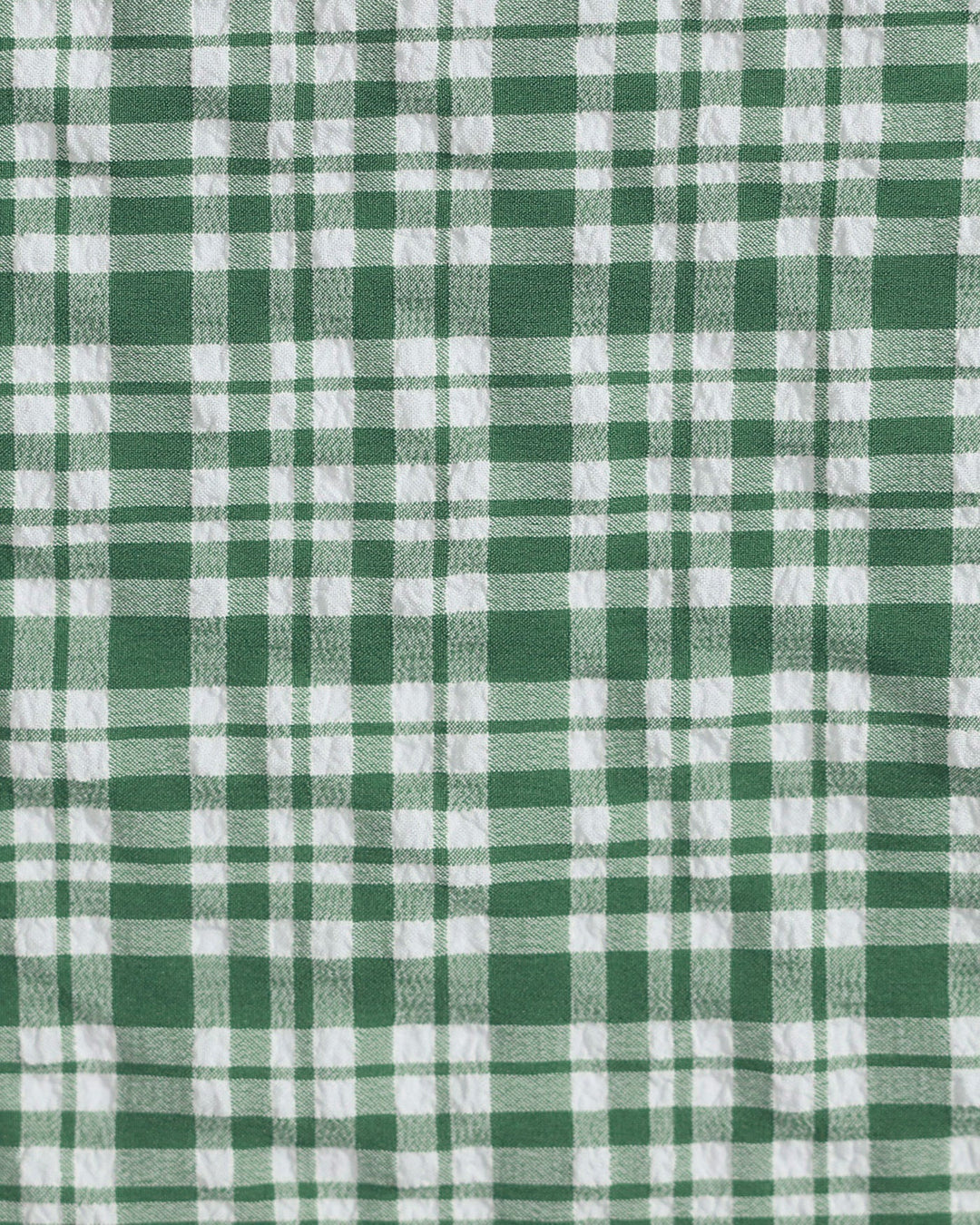 Clara & Sophia | Plaid Drawstring Bikini Set for Women in Green